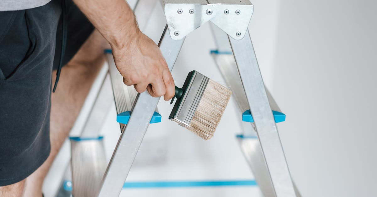 Biodegradable Decor: Exploring Eco-Conscious Product Options