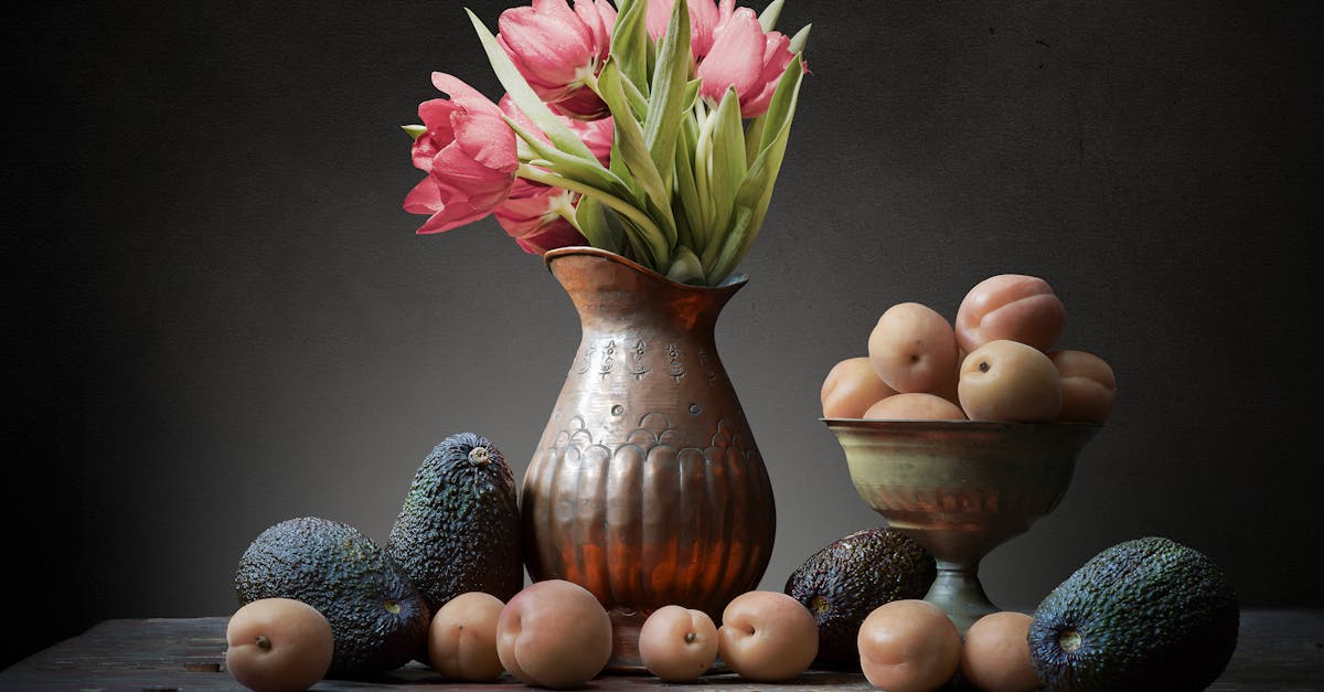 How Indoor Plants Can Transform Your Space and Improve Air Quality