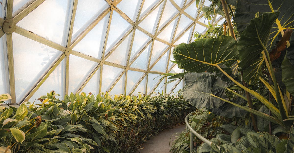 Integrating Biophilic Elements into Workspace Design