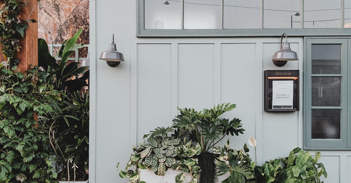 Space-Saving Techniques for Urban Dwellings