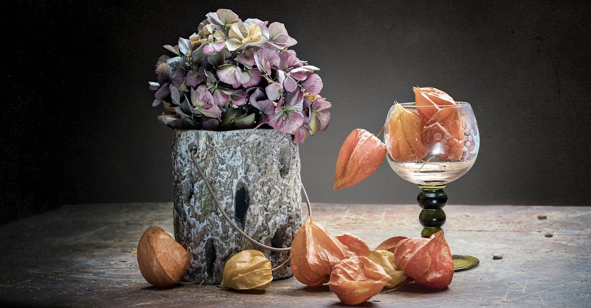 Transforming Hotel Lobbies into Memorable First Impressions